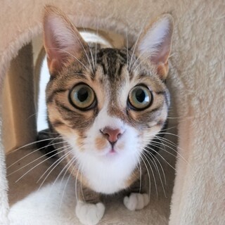 遊び大好き、１歳半男子