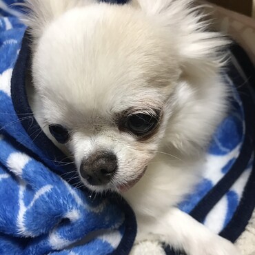 あざみも元気にしています。みんな元気なこと本当に嬉しかったです。
