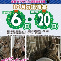猫の譲渡会　in　名古屋市瑞穂区生涯学習センター