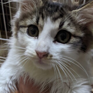 おっとりロン毛の雅な春都(ハルト)君❗