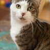 記憶力抜群8歳♀ サムネイル5