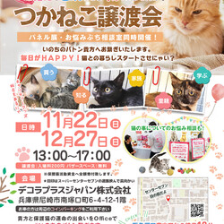 つかねこ譲渡会inＯｆｆｉｃｅ