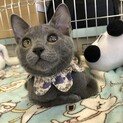 スリゴロ・甘々・ムッチムチ(^з^)-♪