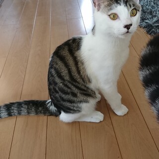 好奇心旺盛なイケメンくん