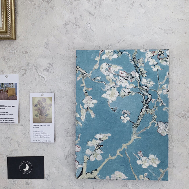 soyezfinのカバー写真