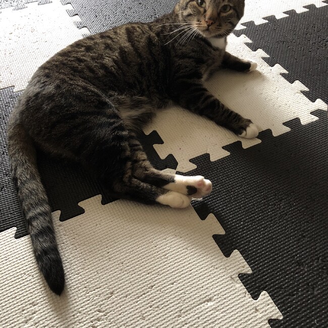 マダムまーりのカバー写真