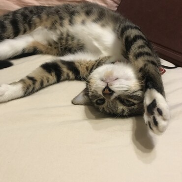 あまりに無防備な格好