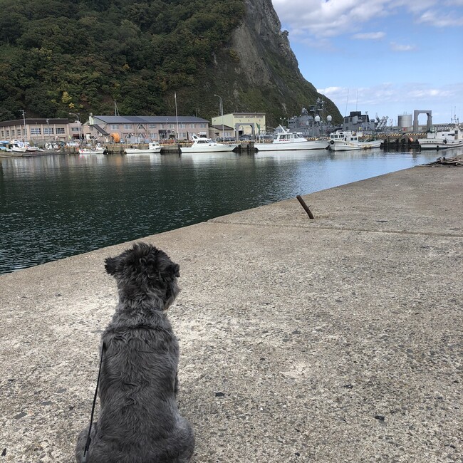 かじわらはんくんのカバー写真