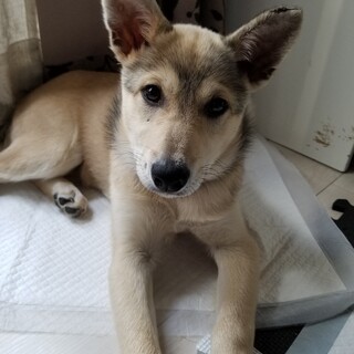 調整中のため、一旦ストップします。