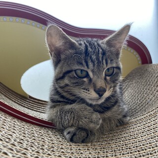 ひとりぼっちになった◎ほだかくん◎