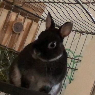 の写真