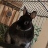 の写真