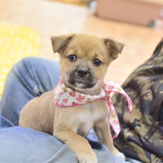 ちゃっかり娘の可愛い“まいたけちゃん”