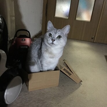 在りし日のソラちゃん