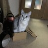 在りし日のソラちゃん