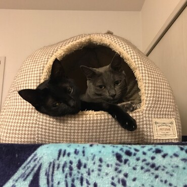 無理やりふたりで入る。