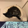 無理やりふたりで入る。