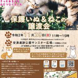 保護いぬねこ譲渡会