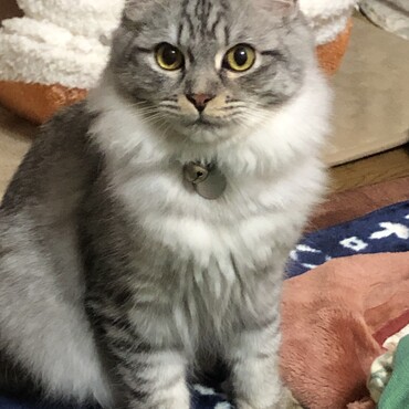 かっこいいお顔①