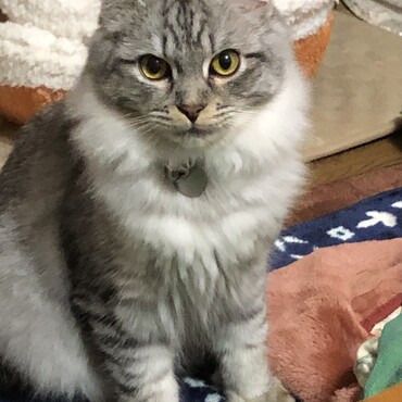 かっこいいお顔②この角度が良いかな？（笑）