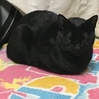 まめ