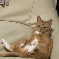 そら