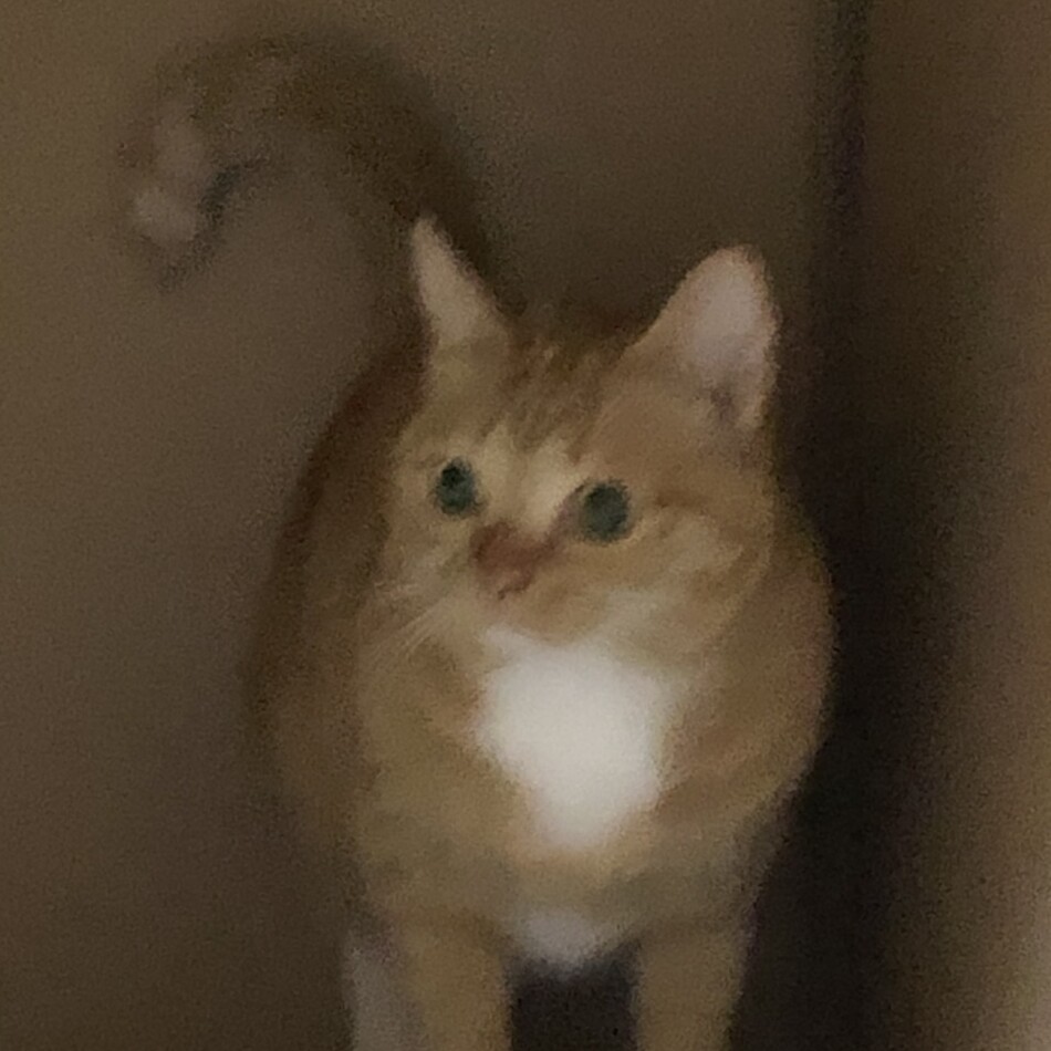 そらのカバー写真