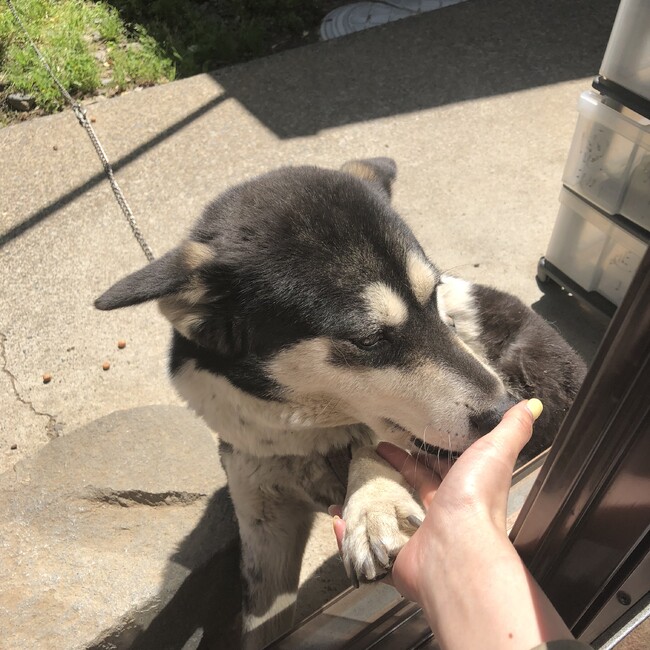 よう88のカバー写真