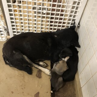 収容期限1週間です