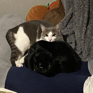 ソファの心地よさに気付く季節