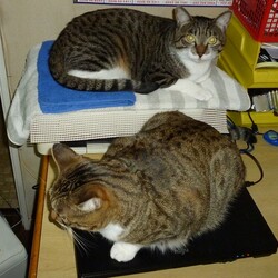 この時期だから！