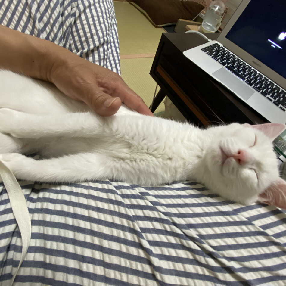 ピュアのカバー写真