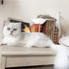 来たばかりの8月