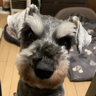 とても人懐っこくて甘えたな女の子♪