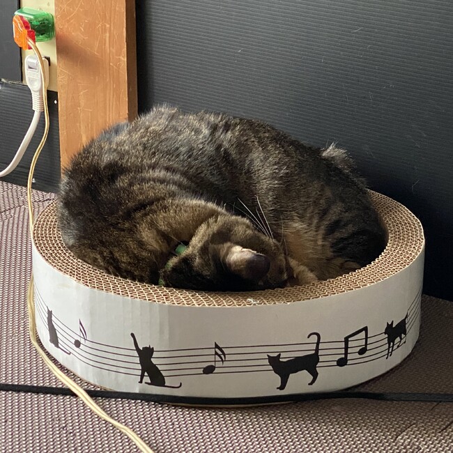 Black1126のカバー写真