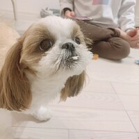 うる