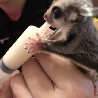 応募してくださった方、ありがとうございました