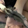 応募してくださった方、ありがとうございました サムネイル2