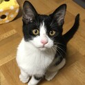 まんまるコロコロのみやびちゃん♡