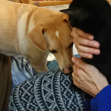 この奇跡を。。護る！！