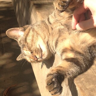 履歴保存の為、掲載内容は削除不可