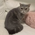 応募多数のため一旦募集停止致します！