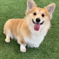 まるる