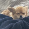 眠くてもギリギリまで寝ません(笑)