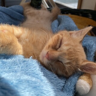 片目の薩摩隼人！