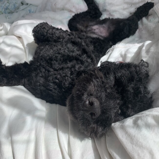 かーーーたかのカバー写真