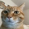 の写真