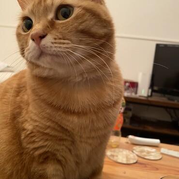 の写真