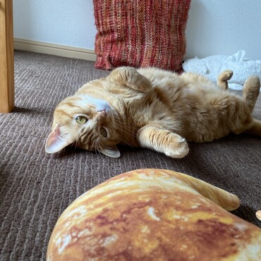 の写真