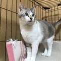 活発で甘えん坊れんくん